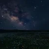 Космо-булка