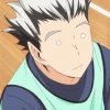 Owl Bo