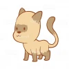 KateSe