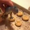 DinoTrace