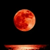 Bloody_Moon28