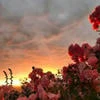 yours_92