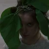 NeTarara