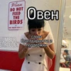 Sabaki_protiv_Prisheltsev