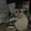 Девочка_Часодейка