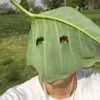 apolon_cheak