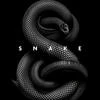MsSnake