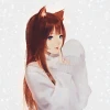 .IP.
