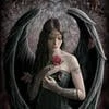 Fallen angel716