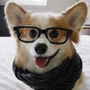 Katrin_Wizard
