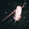 Shubka_joke