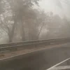 Екатерина Марьяма