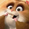 Rinusja
