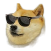OrlikAnna