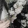 Safiot__Firsi