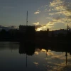 MissYourDream