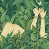 iruichi