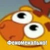 Duonik
