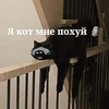 Anonim__993
