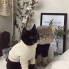 Beast of Hell