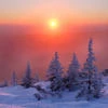 пармезан с сельдереем