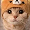 Sien_si_en
