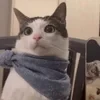 Dafuqcat