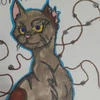 Nitmer Paw