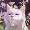 honeymoon_a