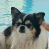 Mishelle Hwang
