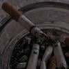 Сакуя Ватануки