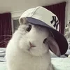 Единорожек Асия