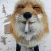 СаняВаля