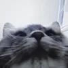 _Михель_