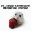 Klee.com