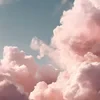 Laguna Wave