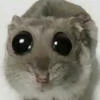 StasKennedy