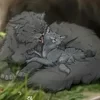 Пепелица которая целительница