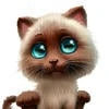Kat_kat