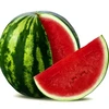 Watermelon_12