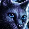 silari_kicho