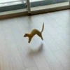 Рыженький котёночек