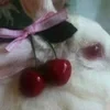 Cherry Lapin