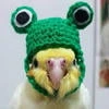 Себастьяна Огурцова