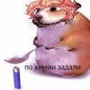 люблю редиску