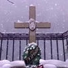 Елисей Шестаков
