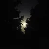 Korben_Dream