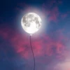 Moonlight Hide-Me