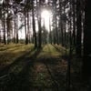 Твоя_неповторимая_жёнушка