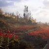 осязаемая